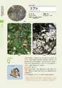 青葉山植物図鑑