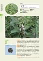青葉山植物図鑑