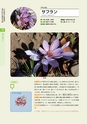 青葉山植物図鑑