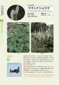 青葉山植物図鑑
