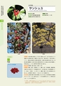 青葉山植物図鑑