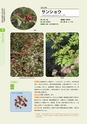 青葉山植物図鑑