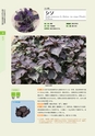 青葉山植物図鑑