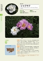 青葉山植物図鑑