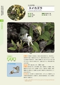 青葉山植物図鑑