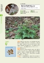 青葉山植物図鑑