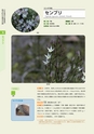 青葉山植物図鑑