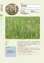 青葉山植物図鑑