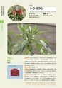 青葉山植物図鑑