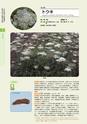 青葉山植物図鑑