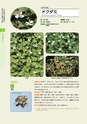 青葉山植物図鑑