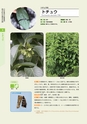 青葉山植物図鑑