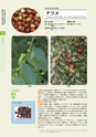 青葉山植物図鑑