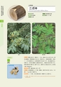 青葉山植物図鑑