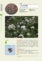 青葉山植物図鑑