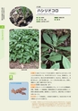 青葉山植物図鑑
