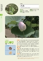 青葉山植物図鑑