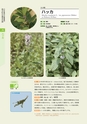 青葉山植物図鑑