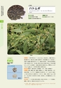 青葉山植物図鑑