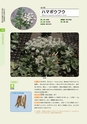 青葉山植物図鑑