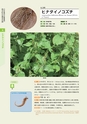 青葉山植物図鑑