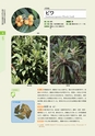 青葉山植物図鑑