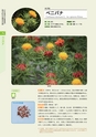 青葉山植物図鑑
