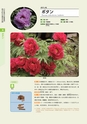 青葉山植物図鑑