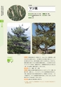 青葉山植物図鑑