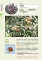 青葉山植物図鑑