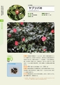 青葉山植物図鑑