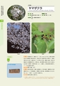 青葉山植物図鑑