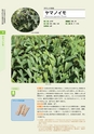 青葉山植物図鑑