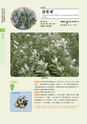 青葉山植物図鑑
