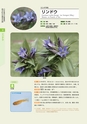青葉山植物図鑑