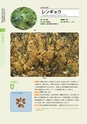 青葉山植物図鑑
