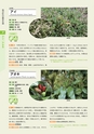 青葉山植物図鑑