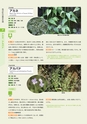 青葉山植物図鑑