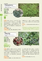 青葉山植物図鑑