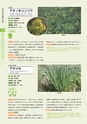 青葉山植物図鑑