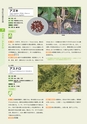 青葉山植物図鑑