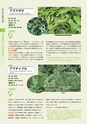 青葉山植物図鑑
