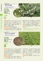 青葉山植物図鑑