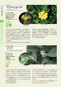 青葉山植物図鑑
