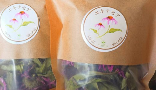 エキナセア ハーブティー販売中🍃